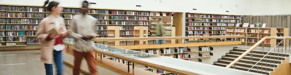 master biblioteca